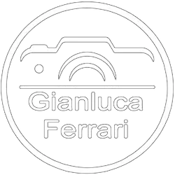 Logo Gianluca Ferrari